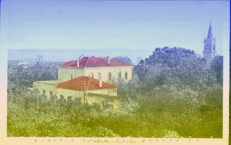 MARENGO SOUS LA VERDURE.jpg